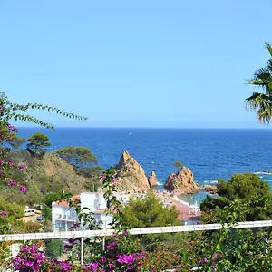 https://blanca-paloma-holiday-house.topcostabravahotels.com